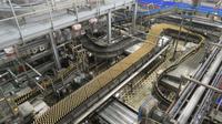 Besuch der Budweiser Brauerei