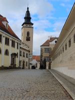 Blick zum Schloß Telc
