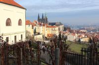 Blick zur Prager Burg