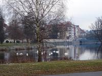 Budweis
