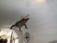 Drache