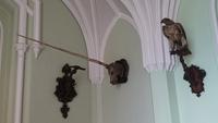 Einhorn in Eisgrub