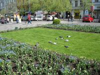 Frühling in Prag