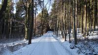 RÜckfahrt nach Trest (Triesch)