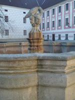 Rabe - Wappentier