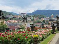 Rosengarten Decin
