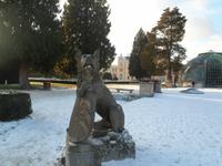 SAM_4951