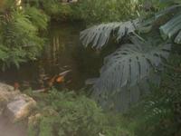 SAM_4959