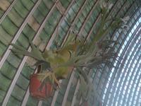 SAM_4962