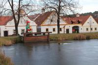 Teich in Holašovice
