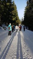 Tschechische Republik, Riesengebirge, Janske Lazne, Cerna Hora, Wanderung