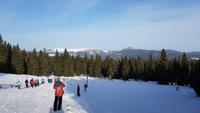 Tschechische Republik, Riesengebirge, Janske Lazne, Cerna Hora, Blick zur Schneekoppe