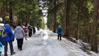 Tschechische Republik, Riesengebirge, Janske Lazne, Cerna Hora, Wanderung