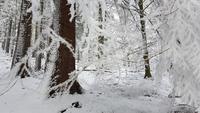 Tschechische Republik, Riesengebirge, Janske Lazne, Cerna Hora, Wanderung