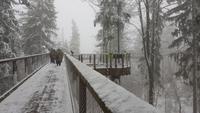 Tschechische Republik, Riesengebirge, Janske Lazne, Wanderung am Baumwipfelpfad