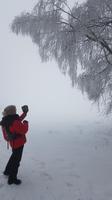 Tschechische Republik, Riesengebirge, Janske Lazne, Wanderung am Baumwipfelpfad