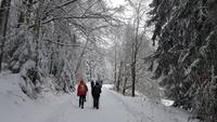 Tschechische Republik, Riesengebirge, Janske Lazne, Wanderung zur Modrokamenna Baude