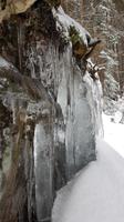 Tschechische Republik, Riesengebirge, Spindlermühle , Wanderung zur Bile Labe Baude