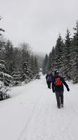 Tschechische Republik, Riesengebirge, Spindlermühle , Wanderung zur Bile Labe Baude