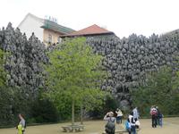 Wandgestaltung im Garten