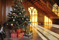 Weihnachtsbaum im Schloss