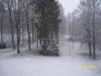 aus dem Fenster