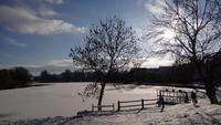 der Teich vor dem Schloss