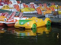 kleiner Wasser -Beatle