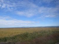 Fahrt von Istanbul nach Troja