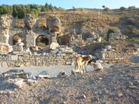 Ephesus