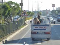 Eselstransport
