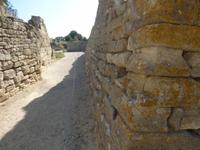 Stadtmauer Troja
