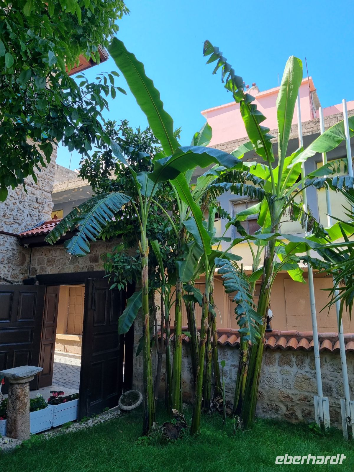 Antalya - Mediterra Art Hotel