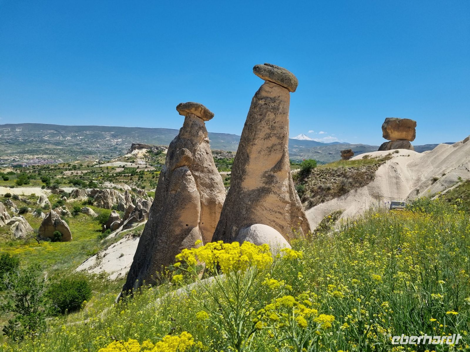 Kappadokien - Felsen wie Pilze... (zwischen Göreme und Ürgüp) 