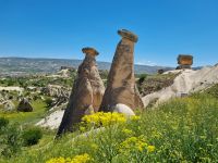 Kappadokien - Felsen wie Pilze... (zwischen Göreme und Ürgüp) 