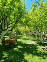 Soganli-Tal (Mittagessen im Gartenrestaurant)