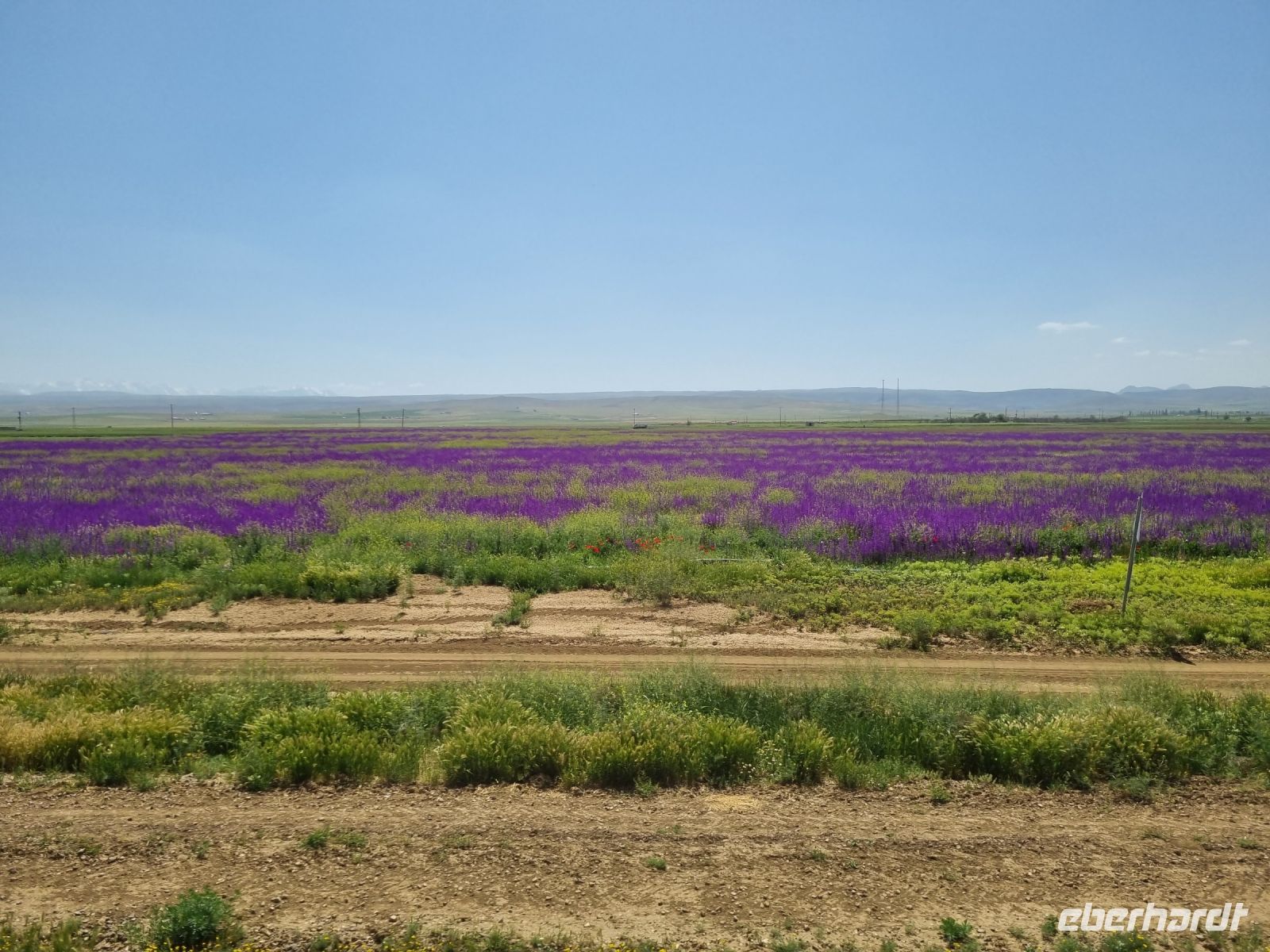 Fahrt mit der Bagdadbahn von Nigde nach Yenice...