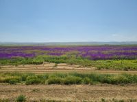 Fahrt mit der Bagdadbahn von Nigde nach Yenice...