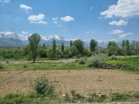 Fahrt mit der Bagdadbahn von Nigde nach Yenice...