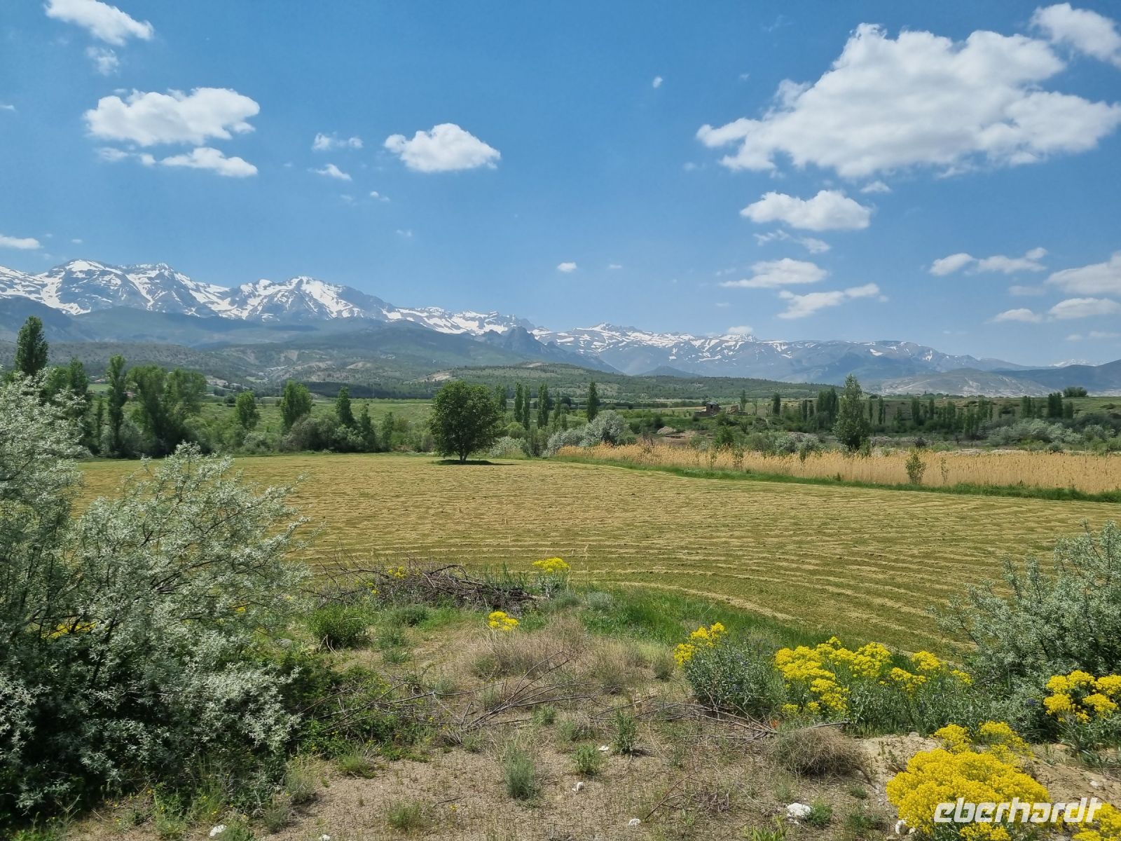 Fahrt mit der Bagdadbahn von Nigde nach Yenice...
