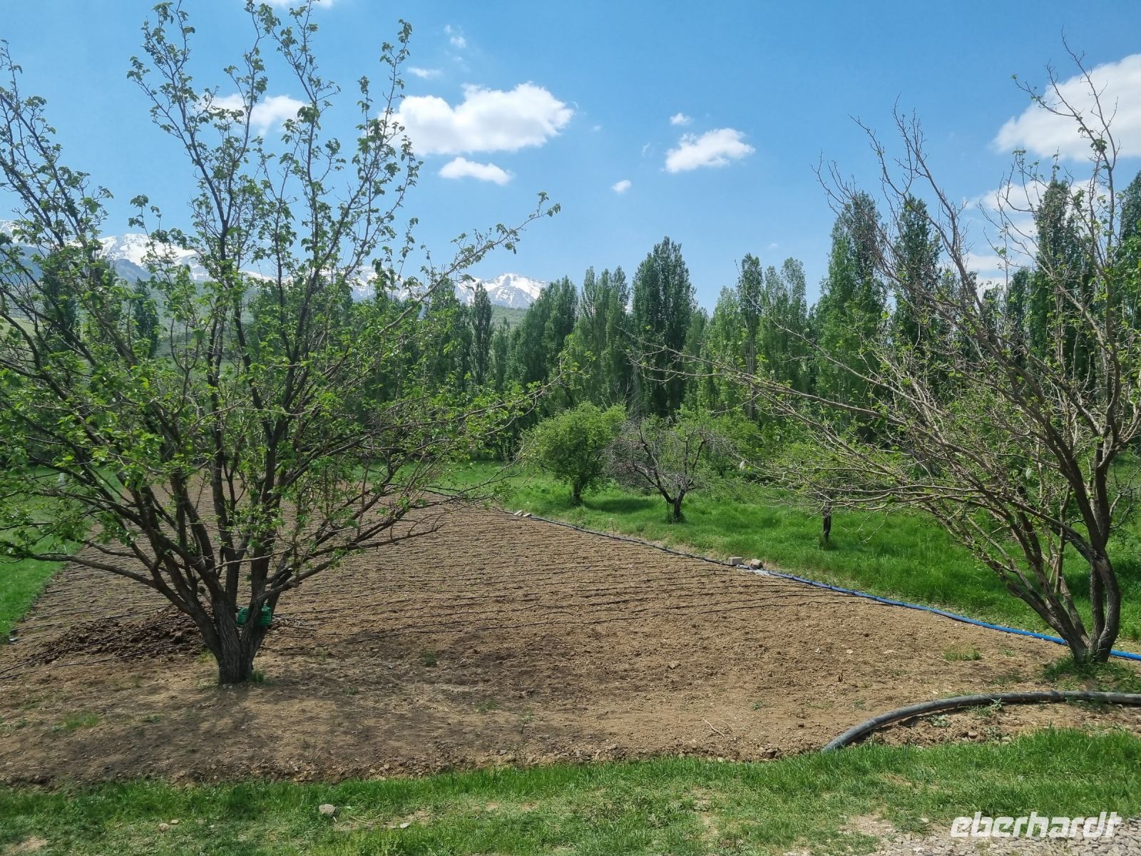 Fahrt mit der Bagdadbahn von Nigde nach Yenice...
