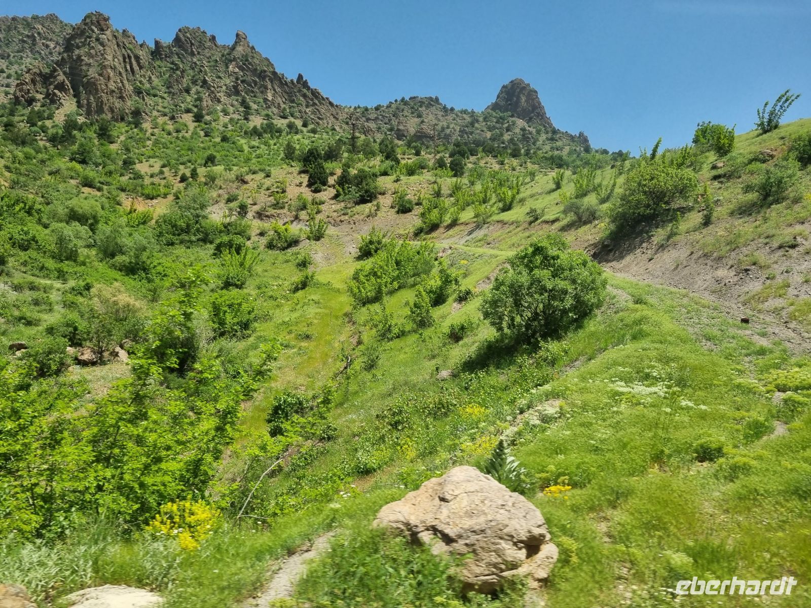 Fahrt mit der Bagdadbahn von Nigde nach Yenice...