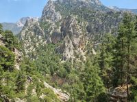 Fahrt mit der Bagdadbahn von Nigde nach Yenice...