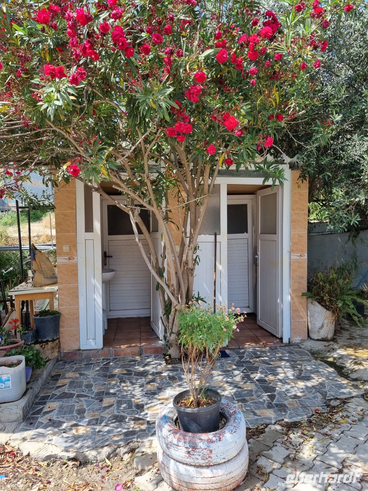 Küstenstraße zwischen Mersin und Antalya... (Toilettenpause)