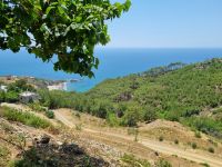 Küstenstraße zwischen Mersin und Antalya... (Mittagessen im Restaurant 