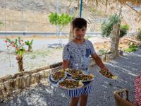 Küstenstraße zwischen Mersin und Antalya... (Mittagessen im Restaurant 