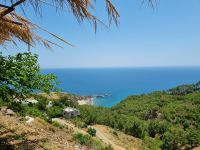 Küstenstraße zwischen Mersin und Antalya... (Mittagessen im Restaurant 