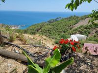 Küstenstraße zwischen Mersin und Antalya... (Mittagessen im Restaurant 