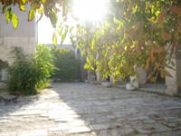 Innenhof der Karawanserei von Sultanhani