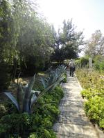 Gelände Pauluskirche, Tarsus